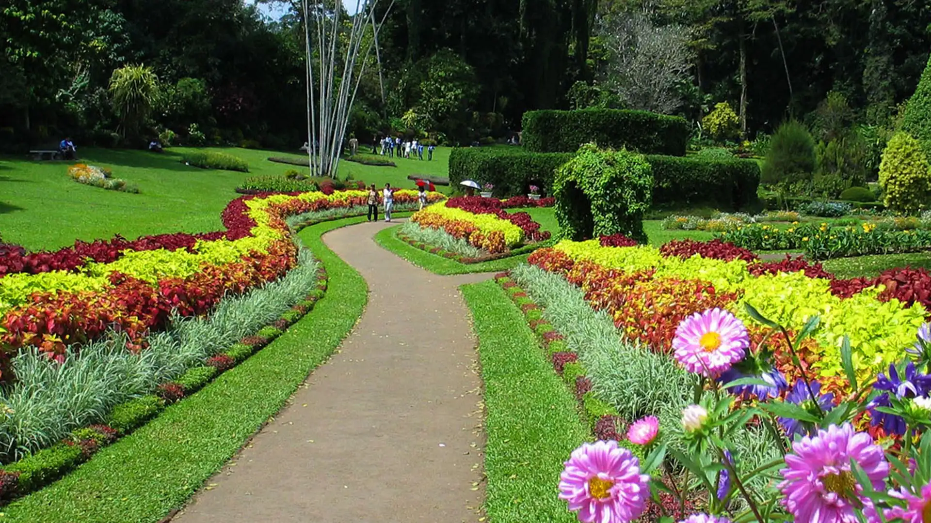معرفی کامل باغ گیاه‌شناسی سلطنتی سریلانکا