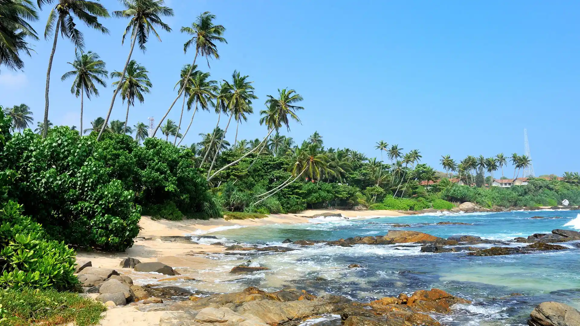 بایدها و نبایدهای سفر به سریلانکا؛ 13 نکته ضروری